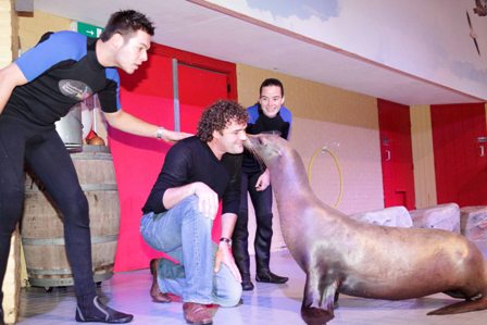 Zeehond show